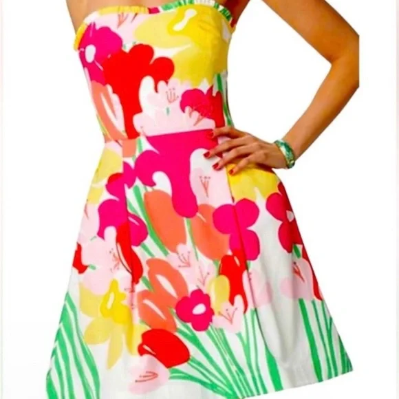 Lilly Pulitzer Summer Dress - Picture 14 of 14